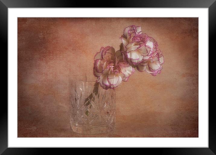  Two pink carnatioms in a glass Framed Mounted Print by Eddie John