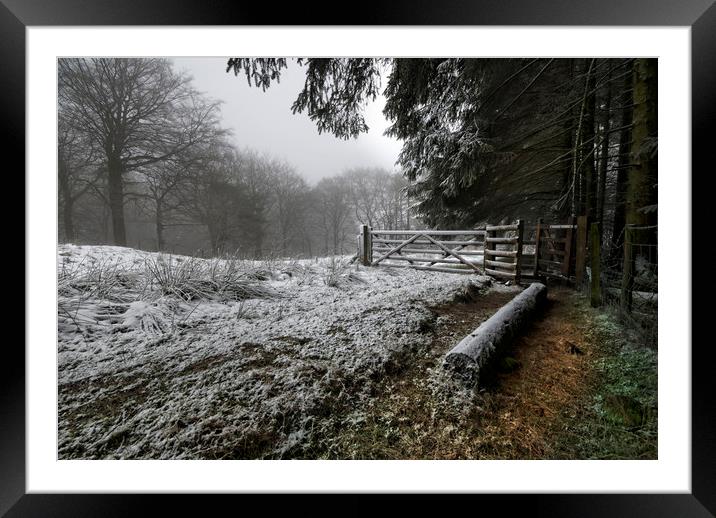 A winter walk Framed Mounted Print by Eddie John