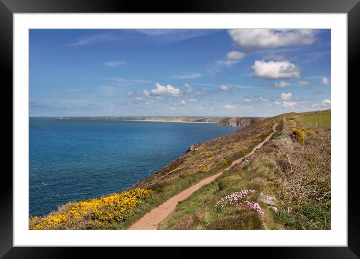 The south west coast path north of St Agnes head C Framed Mounted Print by Eddie John