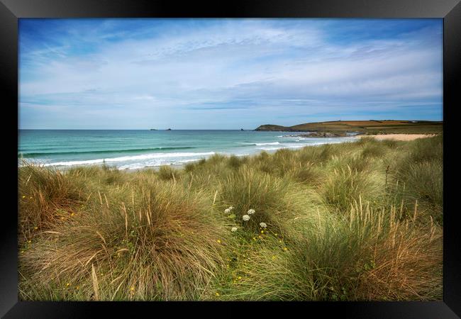 Sand dunes and marram grass Constantine bay  Framed Print by Eddie John