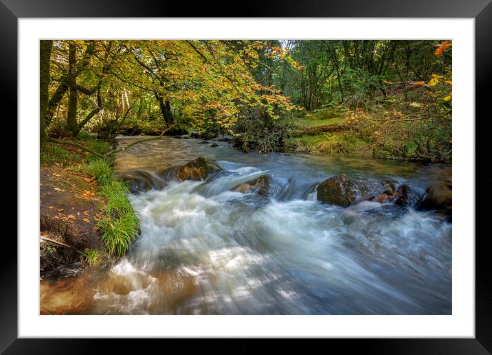 golitha waterfalls cornwall   Framed Mounted Print by Eddie John