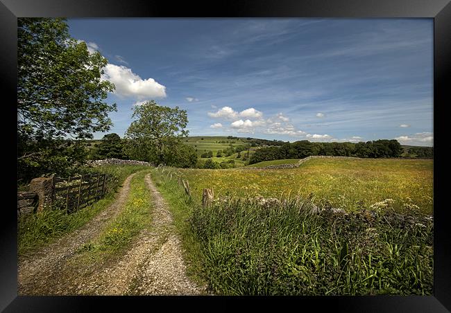 Wharfedale - Yorkshire Framed Print by Eddie John