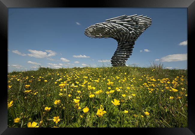 The Singing Ringing Tree Framed Print by Eddie John