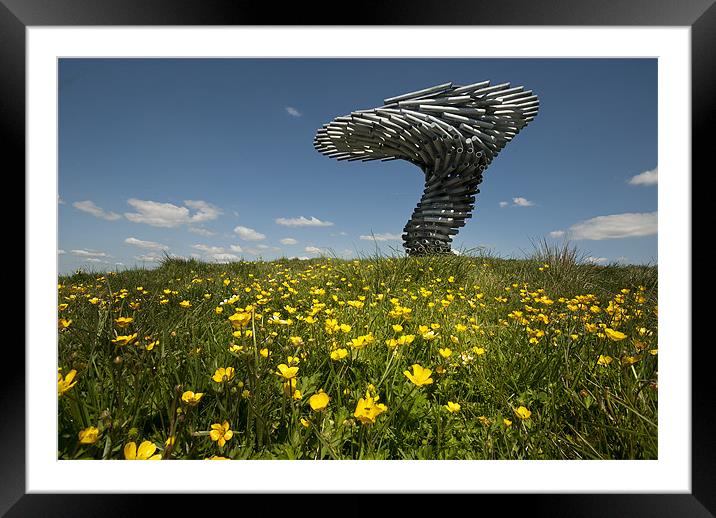 The Singing Ringing Tree Framed Mounted Print by Eddie John