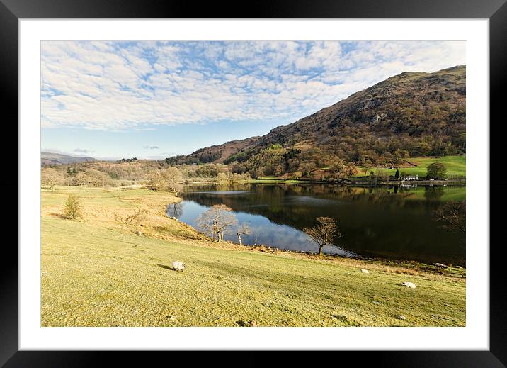 Down To Rydal Water Framed Mounted Print by John Hare