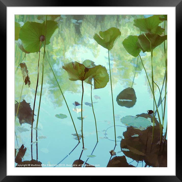 The Lotus pond Framed Mounted Print by Martine Affre Eisenlohr