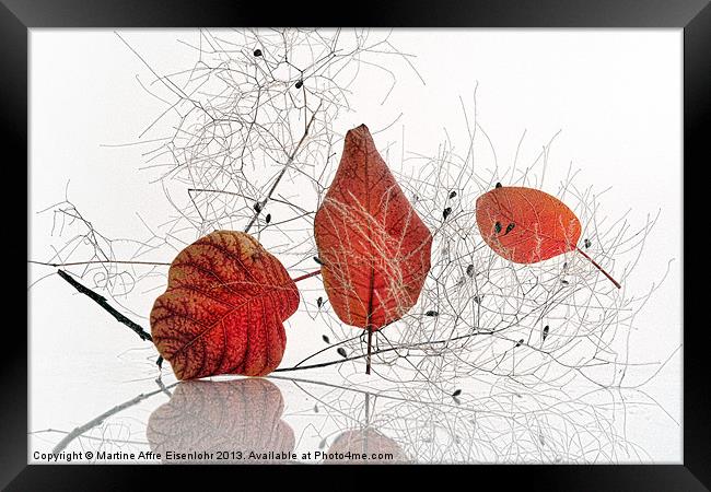 Red leaves Framed Print by Martine Affre Eisenlohr