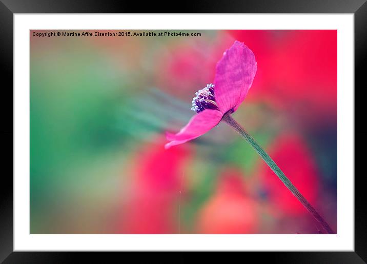 Papaver Framed Mounted Print by Martine Affre Eisenlohr