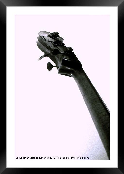 Double Bass Head Framed Mounted Print by Victoria Limerick