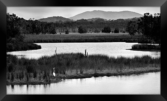 Backwater #7 Framed Print by Dennis Gay