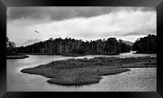 Backwater #3 Framed Print by Dennis Gay