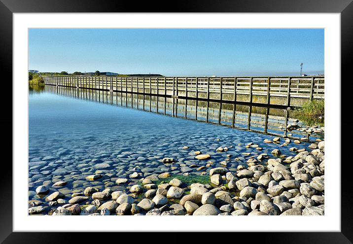 Fleetwood Nature Reserve. Framed Mounted Print by Lilian Marshall