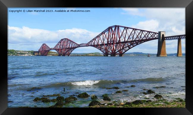 The Forth Bridge at Dalmeny South Queensferry.. Framed Print by Lilian Marshall