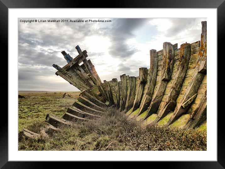 Rotting Ribs. Framed Mounted Print by Lilian Marshall