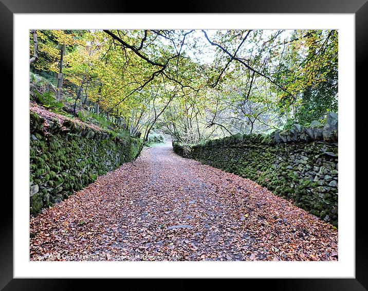 Leafy Lanes. Framed Mounted Print by Lilian Marshall