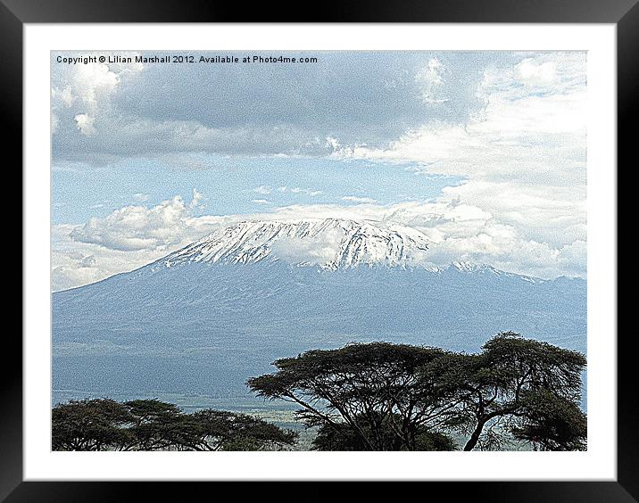 KILIMANJARO. Framed Mounted Print by Lilian Marshall