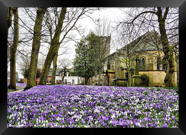Spring time at St Chads. Framed Print by Lilian Marshall
