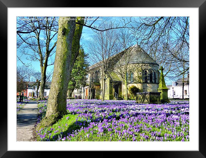 Springtime at St Chads. Framed Mounted Print by Lilian Marshall