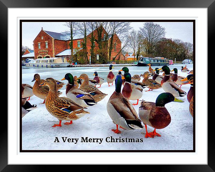 Merry Xmas to Everyone on P4ME Framed Mounted Print by Lilian Marshall