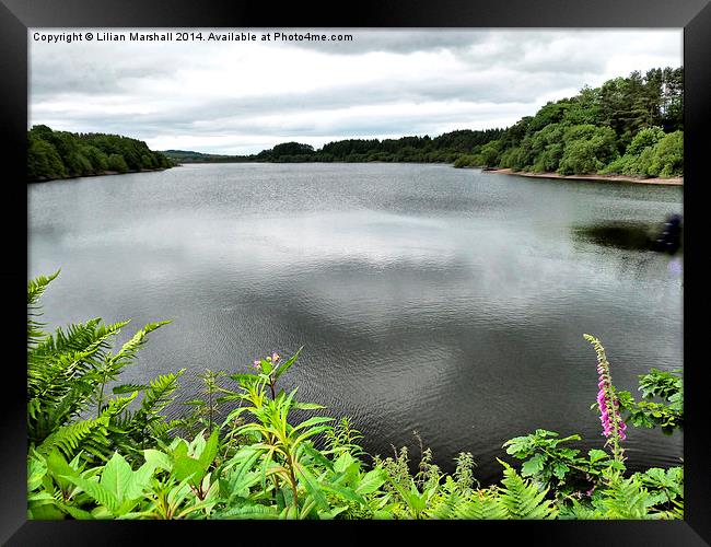 Wayoh Reservoir Framed Print by Lilian Marshall