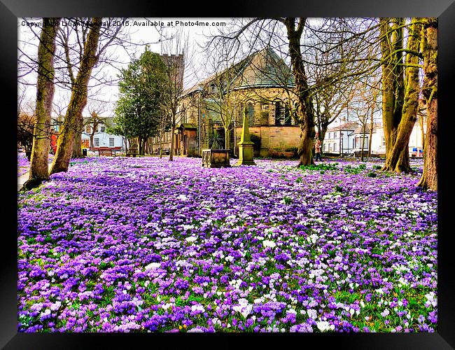  St Chads in Bloom. Framed Print by Lilian Marshall