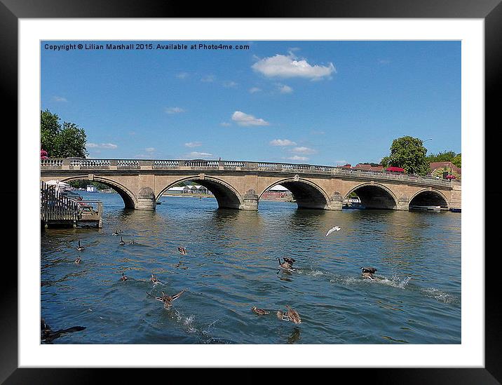  Henley on Thames Road Bridge. Framed Mounted Print by Lilian Marshall