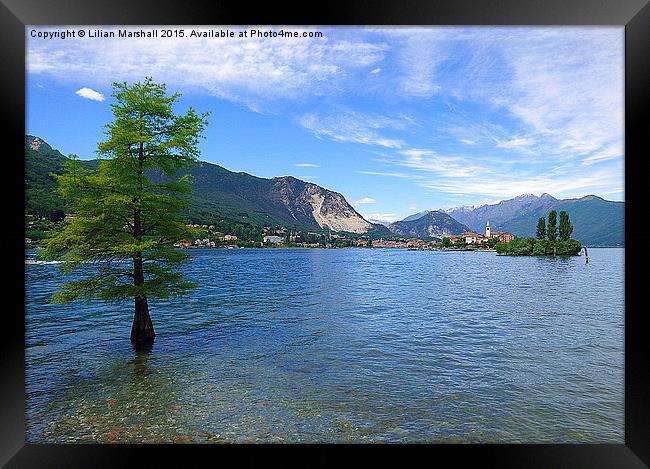  Lake Maggiore Italy  Framed Print by Lilian Marshall