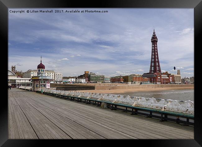 The Tower .Blackpool   Framed Print by Lilian Marshall