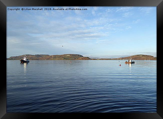 Oban Bay. Framed Print by Lilian Marshall