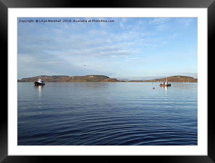 Oban Bay. Framed Mounted Print by Lilian Marshall