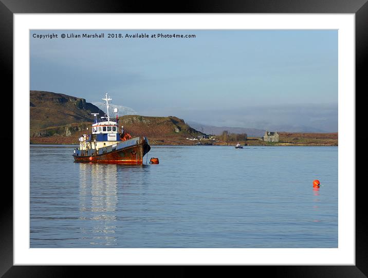 Oban Harbour.  Framed Mounted Print by Lilian Marshall