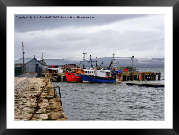 Cromarty Harbour.  Framed Mounted Print by Lilian Marshall