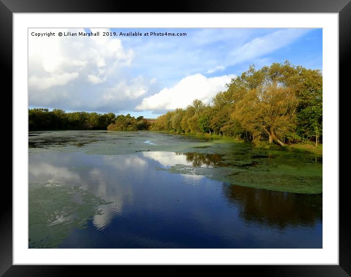 Autumn at Stanley Park.  Framed Mounted Print by Lilian Marshall