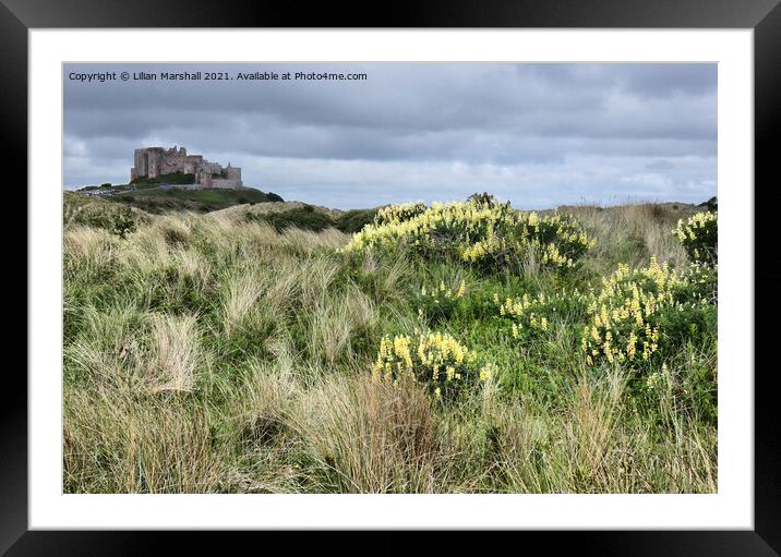 Bamburgh Castle. Northumberland.  Framed Mounted Print by Lilian Marshall