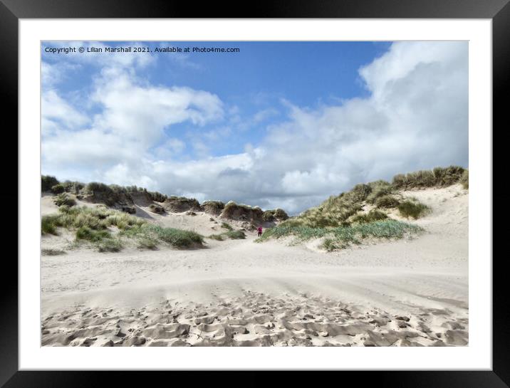 The sand dunes at Bamburgh Beach.  Framed Mounted Print by Lilian Marshall