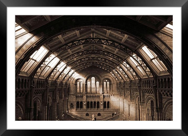 natural history museum main hall Framed Mounted Print by paul forgette