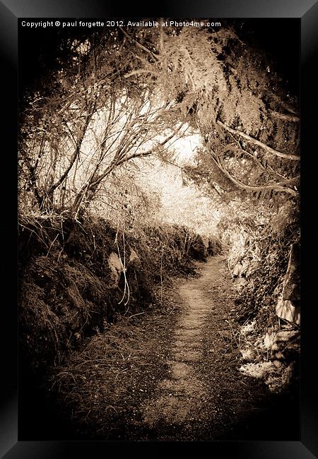 path through time Framed Print by paul forgette