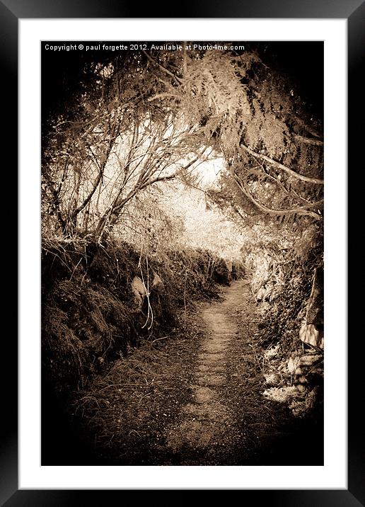 path through time Framed Mounted Print by paul forgette