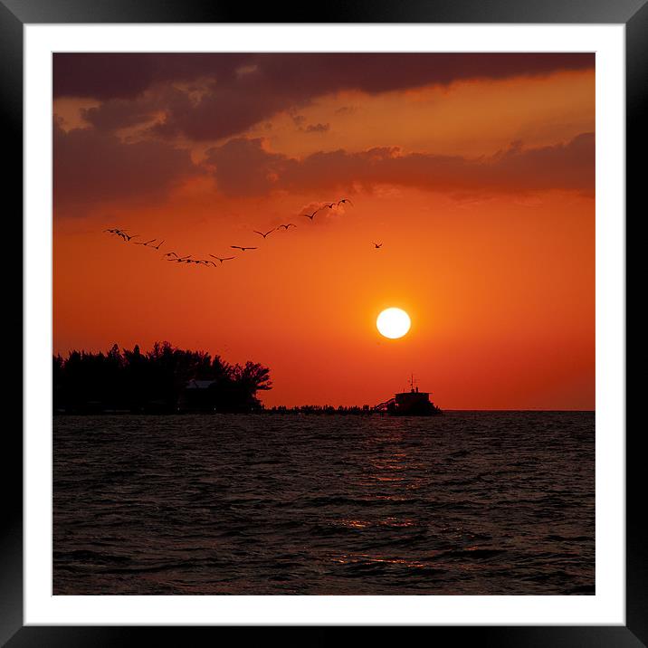 Anna Maria Island, Florida, Sunset Framed Mounted Print by Jan Ekstrøm