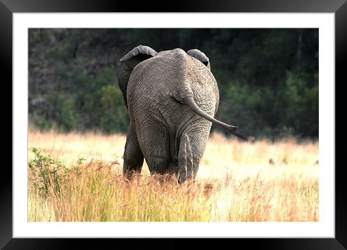 Does the grass make my bum look big. Framed Mounted Print by Hush Naidoo