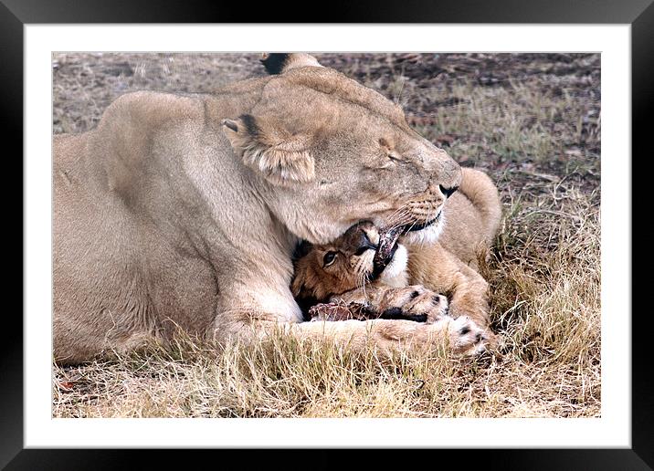 Time for your bath Framed Mounted Print by Hush Naidoo