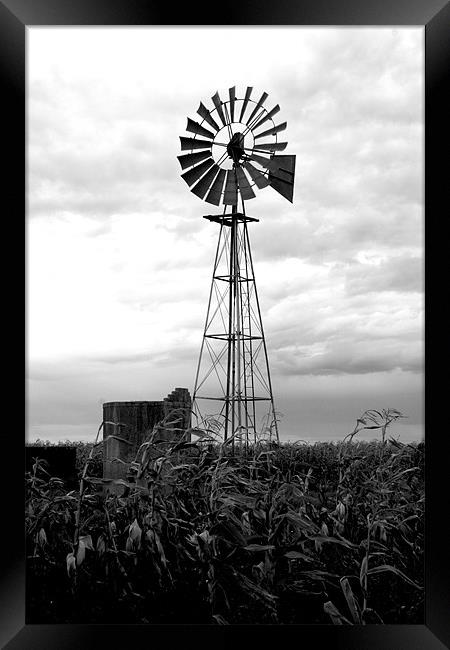 The windmill Framed Print by Hush Naidoo