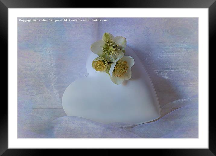 Heart and Flowers Framed Mounted Print by Sandra Pledger