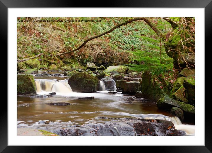 BRANCH WATER Framed Mounted Print by andrew saxton