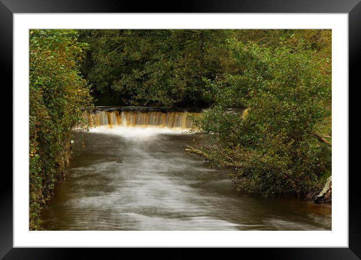 TREE WATERFALL Framed Mounted Print by andrew saxton