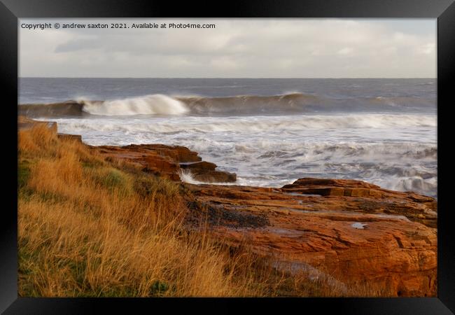 SEA ROLL OUT Framed Print by andrew saxton