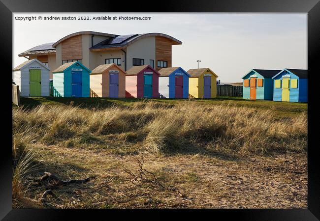 Amble huts  Framed Print by andrew saxton