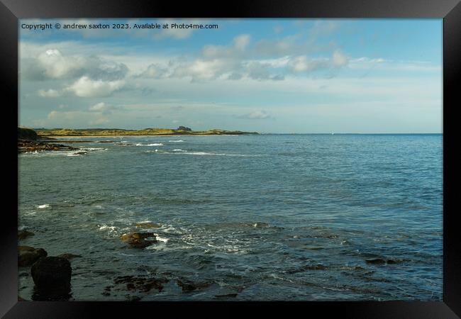 Northumbrian coast Framed Print by andrew saxton