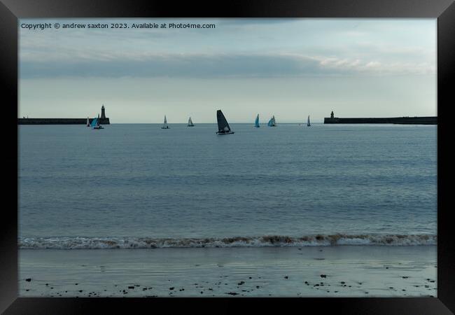 Harbour Sailing  Framed Print by andrew saxton