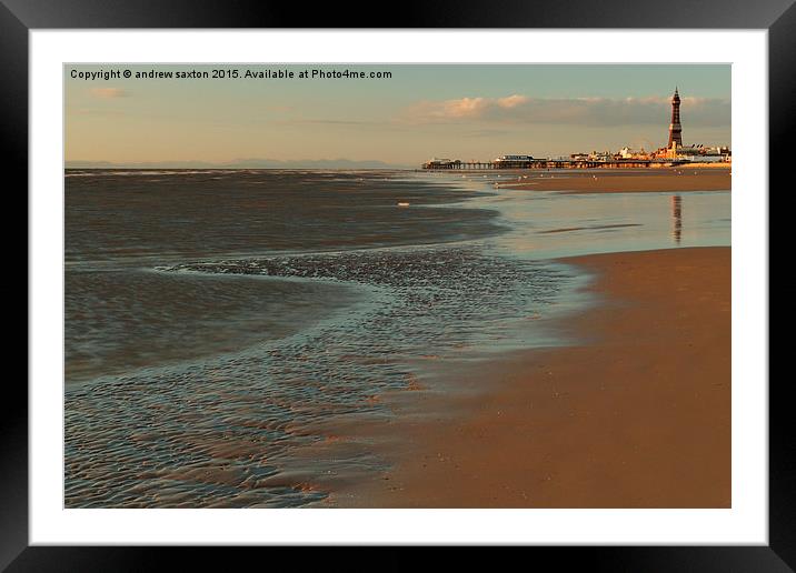  AT THE SEASIDE Framed Mounted Print by andrew saxton